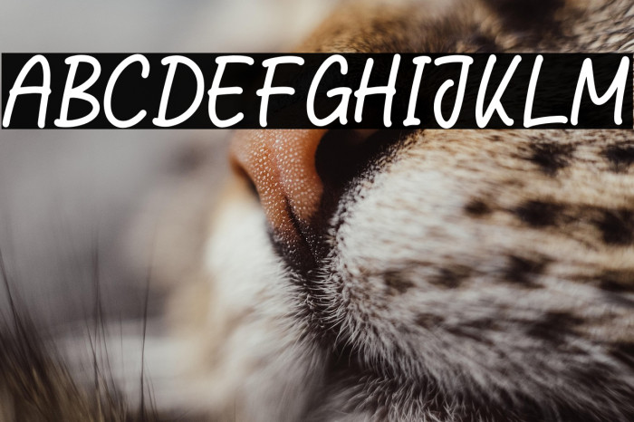 Stylish Quotes Example 1