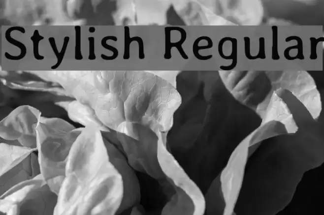 Stylish Regular examples