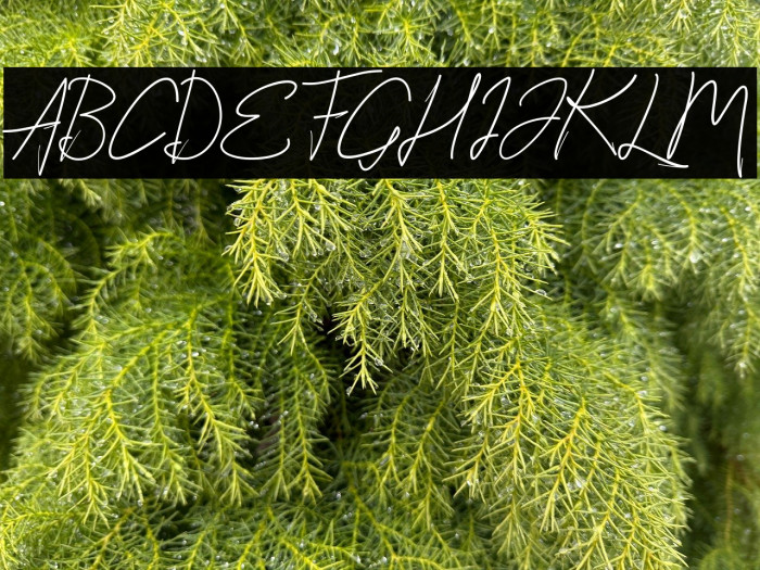 StylishScript Example 2