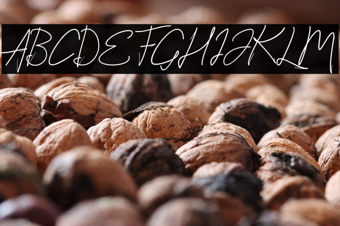 StylishScript Example 3