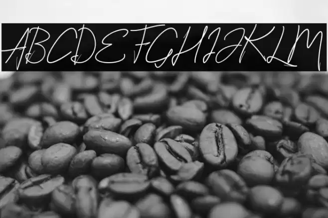 StylishScript Font examples