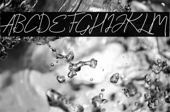 StylishScript Font examples