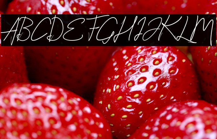 StylishScript Example 3