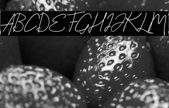 StylishScript Font examples