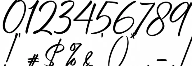 Stylissa Regular Font OTHER CHARS