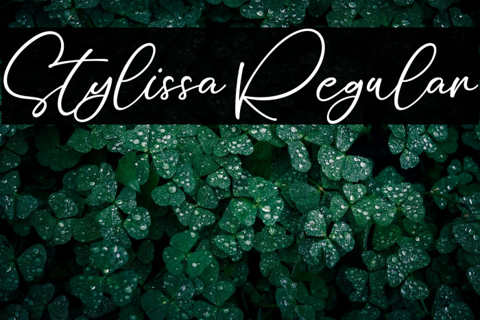 Stylissa Regular Example 1