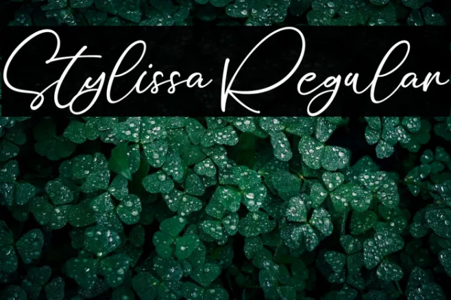 Stylissa Regular Example 1