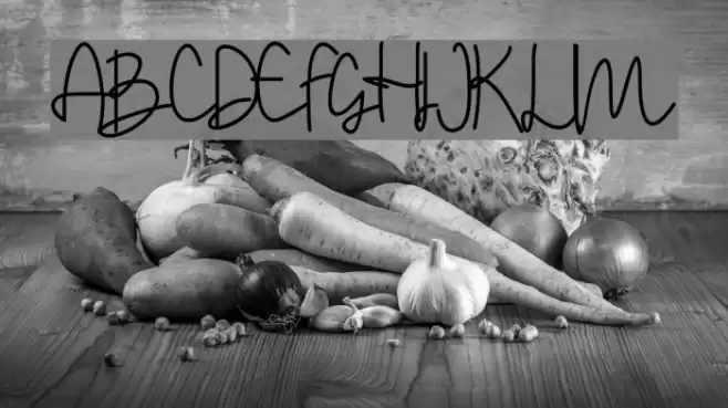 Stylistic Sign Font examples