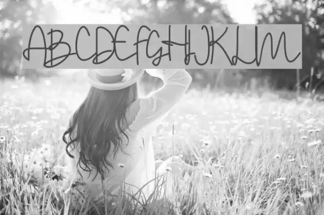 Stylistic Sign Font examples