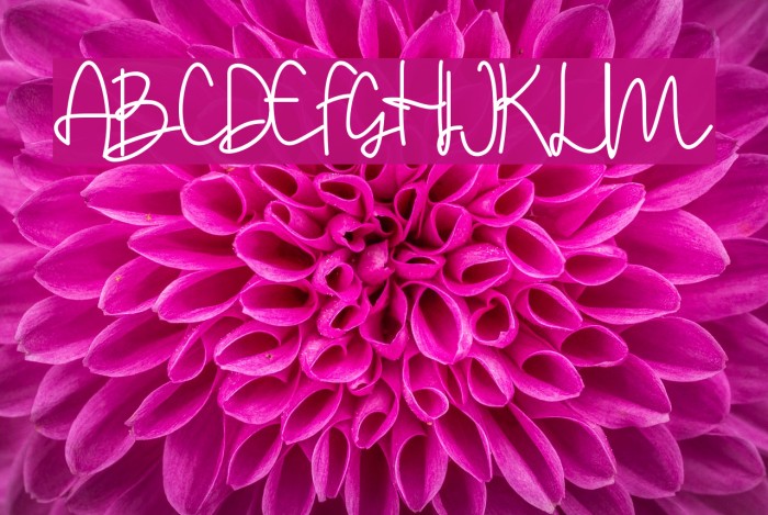 Stylistic Sign Example 3