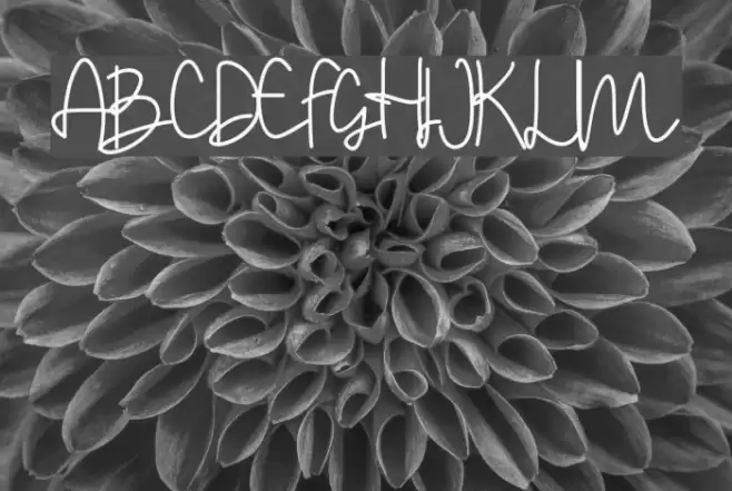 Stylistic Sign Font examples