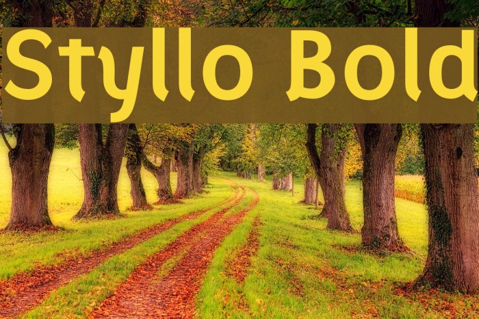 Styllo Bold Font examples