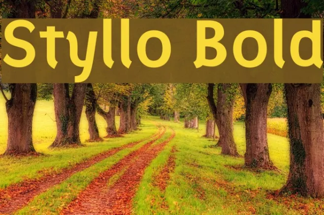 Styllo Bold Example 2