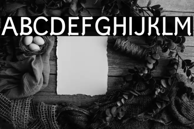 Styllo Font examples