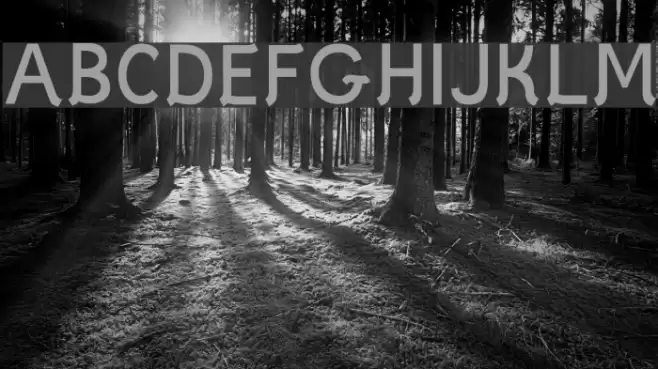 Styllo Font examples