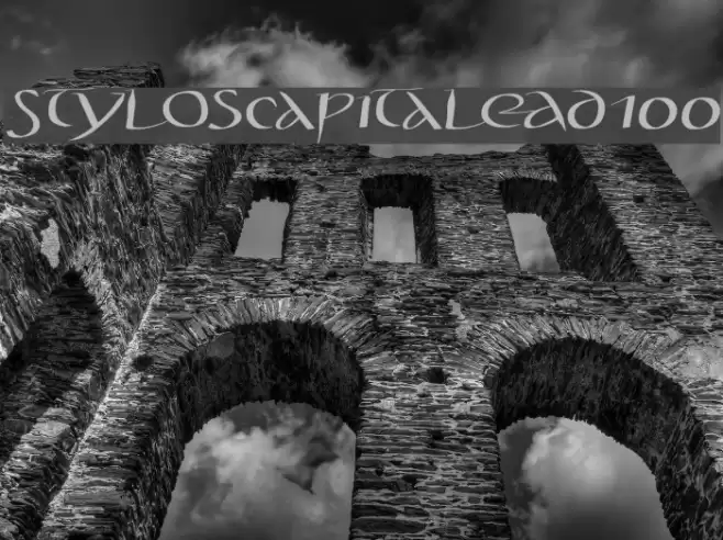 StylosCapitaleAD100 Font examples