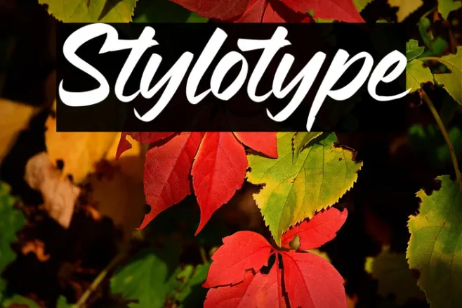 Stylotype Example 1