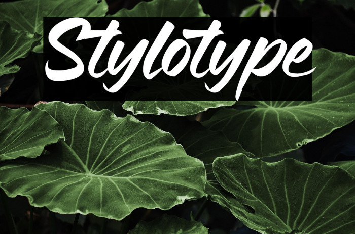 Stylotype Example 3
