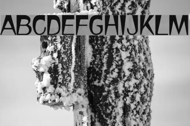 Stylus Regular Font examples