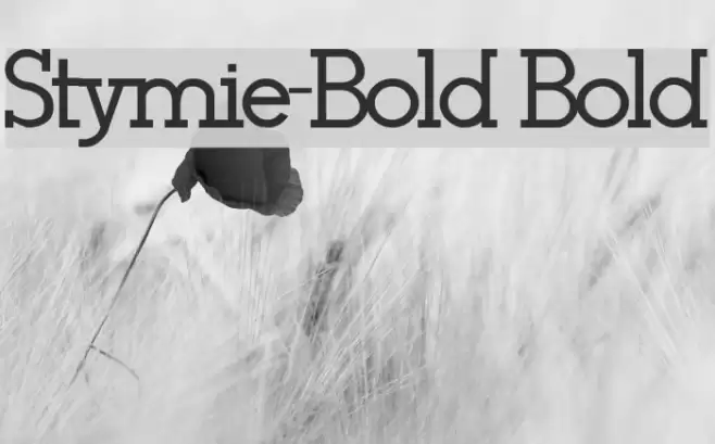 Stymie-Bold Bold Font examples