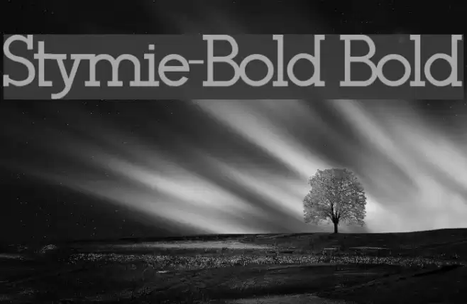 Stymie-Bold Bold Font examples