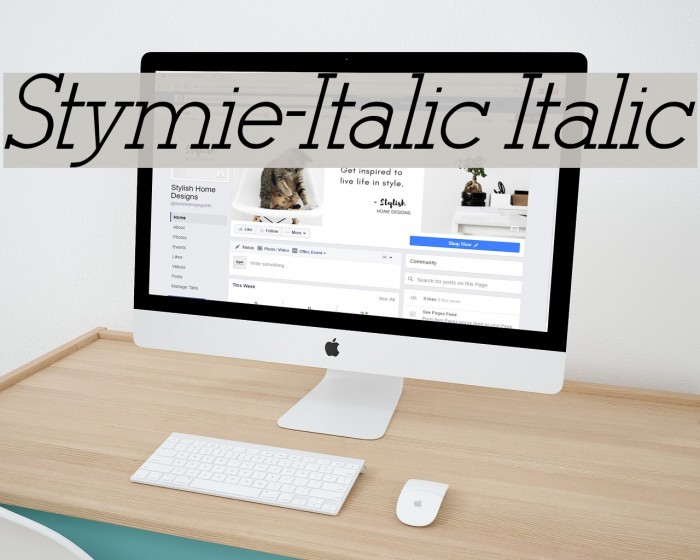 Stymie-Italic Italic Font examples