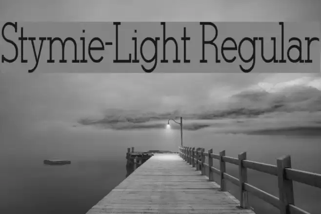 Stymie-Light Regular Font examples