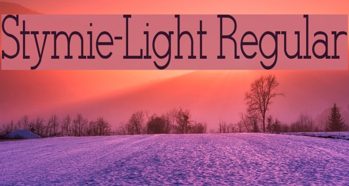 Stymie-Light Regular Font examples