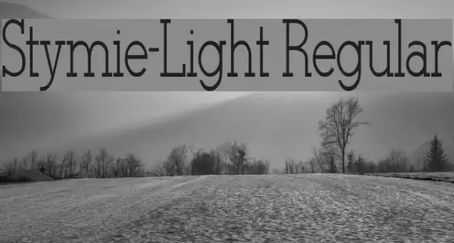 Stymie-Light Regular Font examples