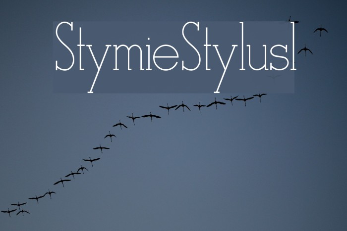StymieStylus1 Font examples