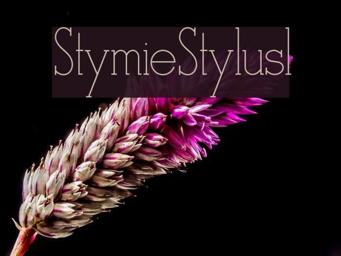 StymieStylus1 Font examples
