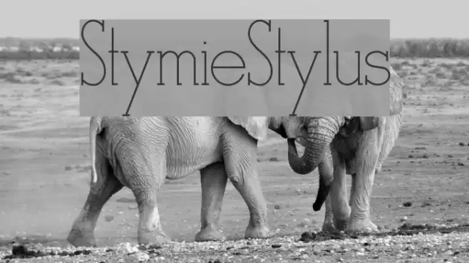 StymieStylus Font examples