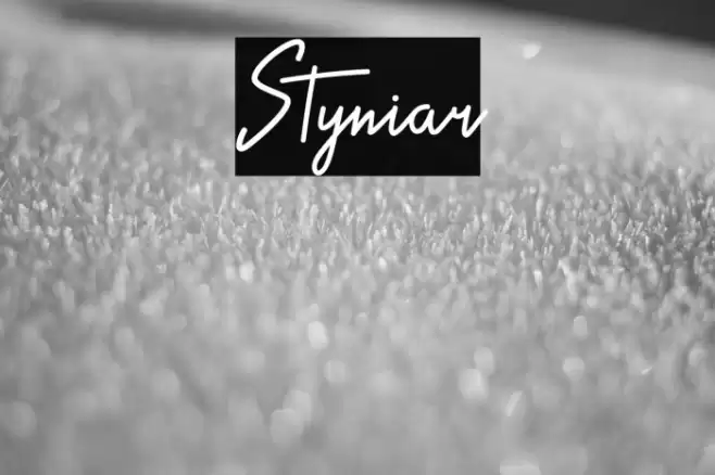 Styniar Font examples