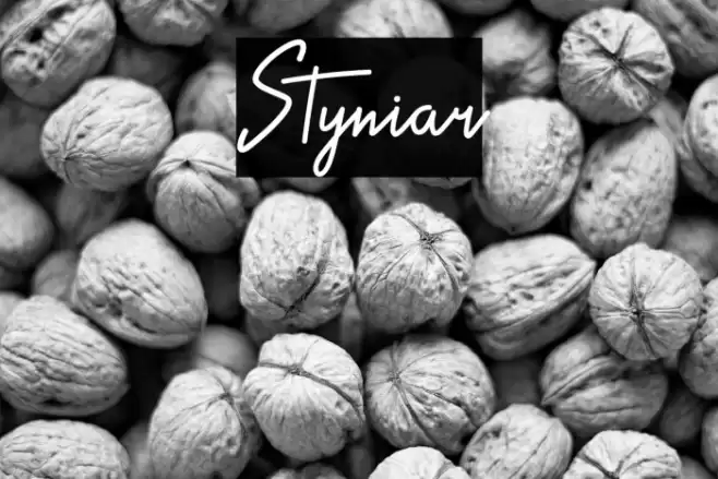 Styniar Font examples