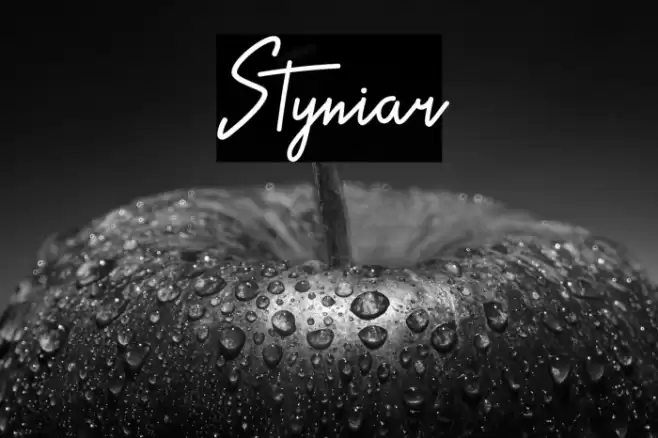 Styniar Font examples