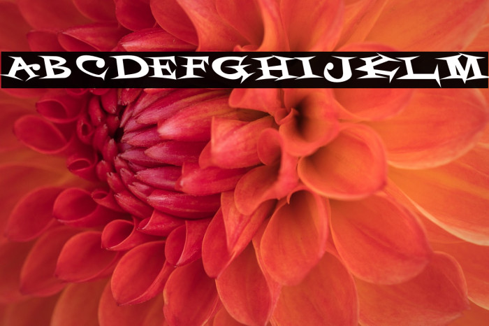 StyrofoamFeelings-Regular Example 2