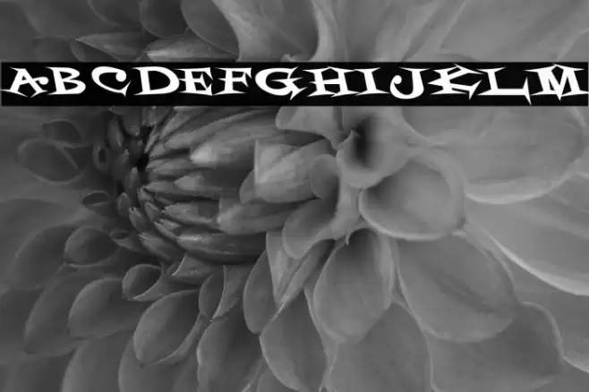 StyrofoamFeelings-Regular Font examples