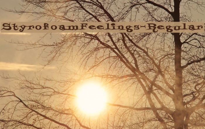 StyrofoamFeelings-Regular Font examples