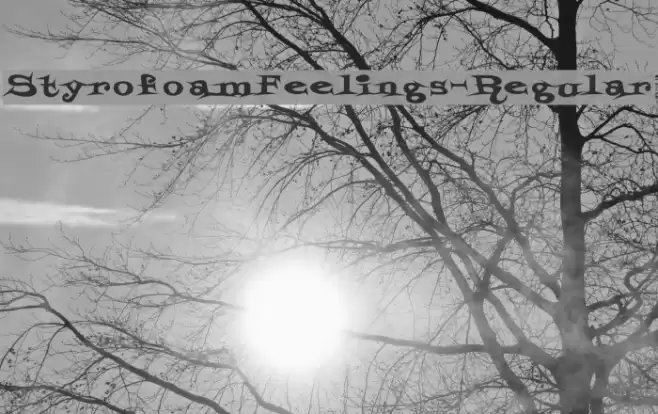 StyrofoamFeelings-Regular Font examples