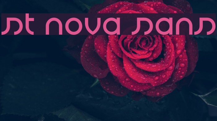 st nova sans Font examples