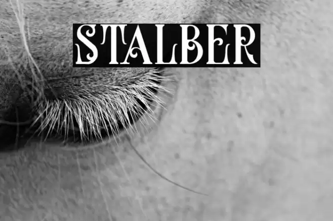 stalber Font examples