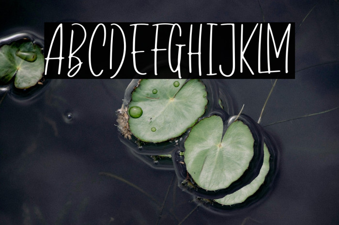 standardpilotdemo Example 2