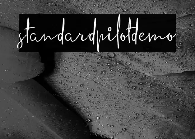 standardpilotdemo Font examples