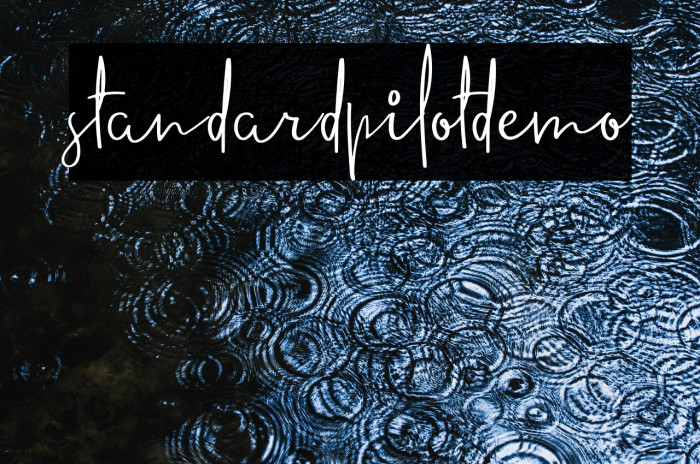 standardpilotdemo Example 2