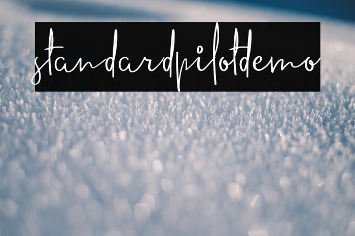 standardpilotdemo Example 3