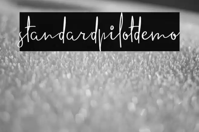 standardpilotdemo Font examples