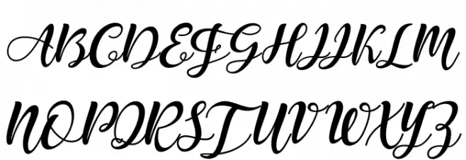 stargoods Font Litere mari
