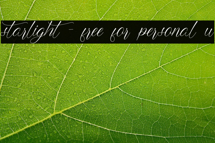 starlight - free for personal u Example 1