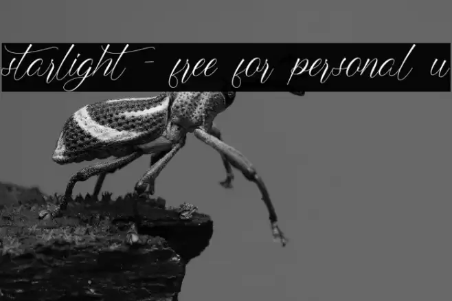 starlight - free for personal u Font examples