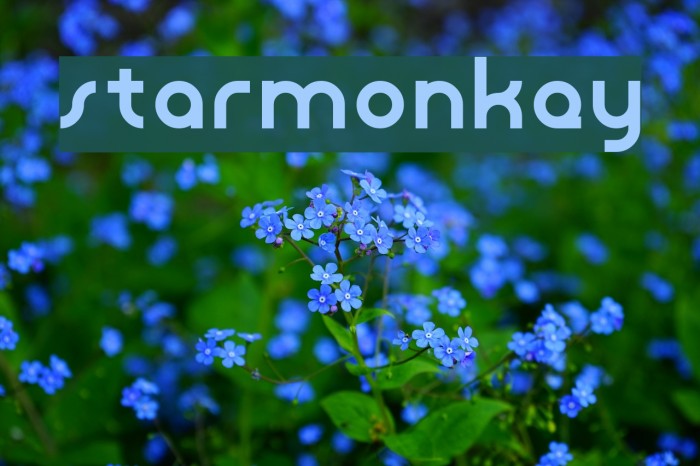 starmonkey Font examples